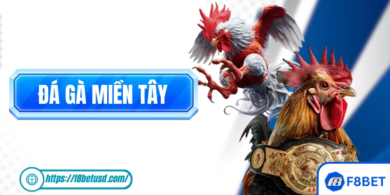 Đá Gà Miền Tây: Nét Đẹp Văn Hoá Của Người Dân Miền Sông Nước