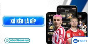 Xả Kèo Là Gì? Định Nghĩa Và Hướng Dẫn Các Bước Cash Out